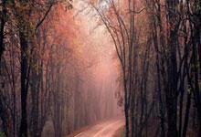 海星体育:耐心和忍耐收到了回报!勇士侧翼新星已经是优秀的3D侧翼球员了?.