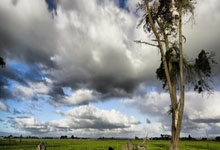 都体:弗洛伦齐在米兰更衣室很重要,米兰可能与他降薪续约一年.