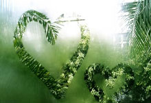 海星体育:耐心和忍耐收到了回报!勇士侧翼新星已经是优秀的3D侧翼球员了?.